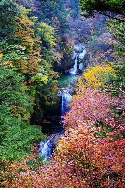 赤や黄色の紅葉に囲まれ、段をなして流れ落ちる神蛇滝