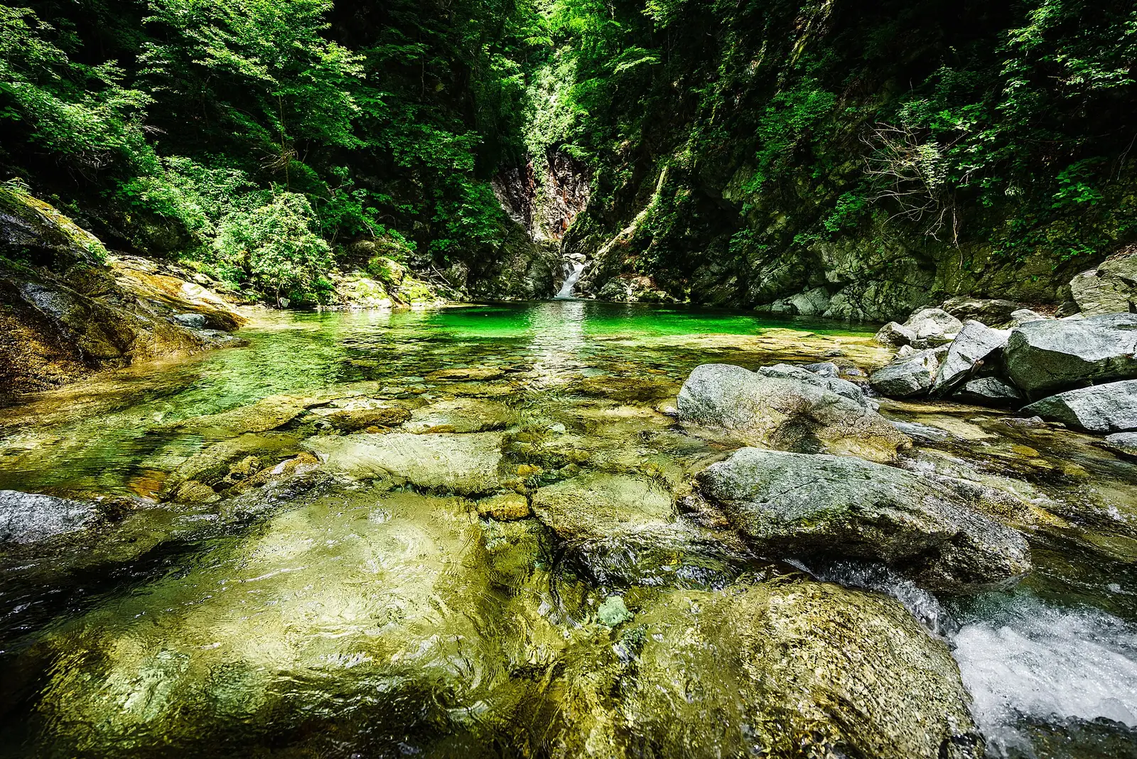 緑の木々と花崗岩に囲まれた、白州・尾白川の透き通る水