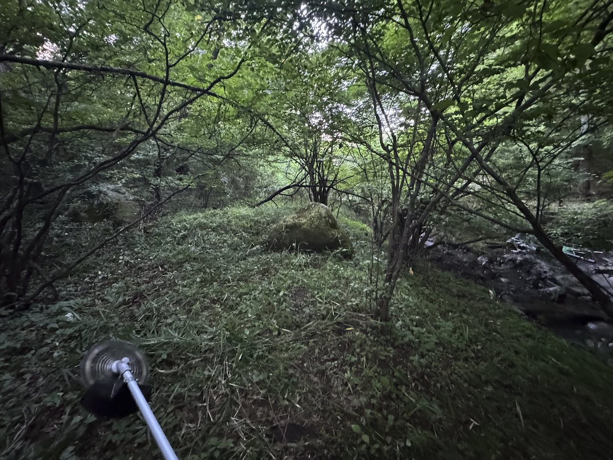下草を刈った直後の斜面。中央に苔むした大きな岩があり、右奥に沢が流れている