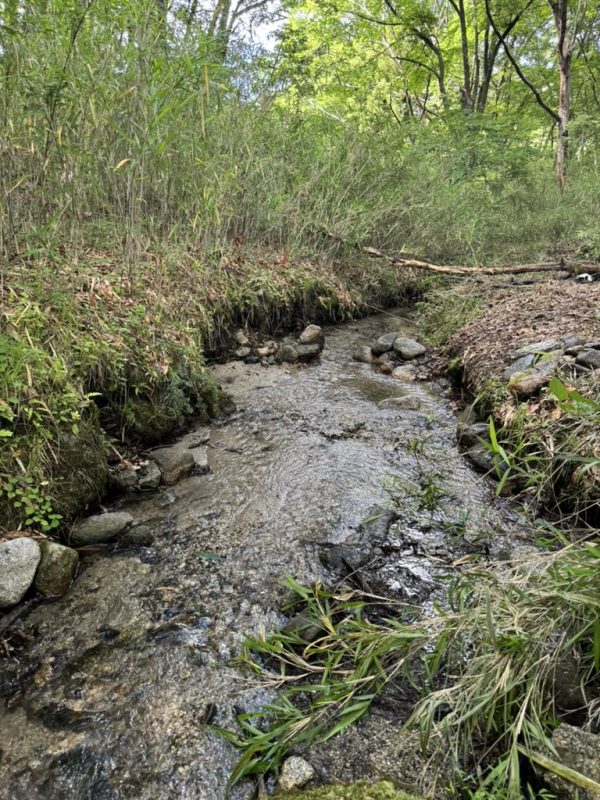 山梨县 北斗市 竹川町 安泽 当地照片 3
