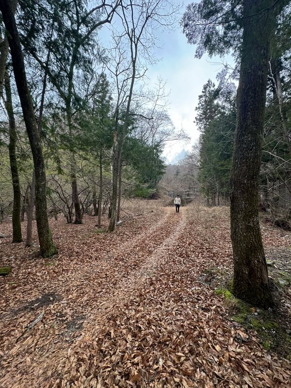 山梨县 北斗市 竹川町 安泽 当地照片 4